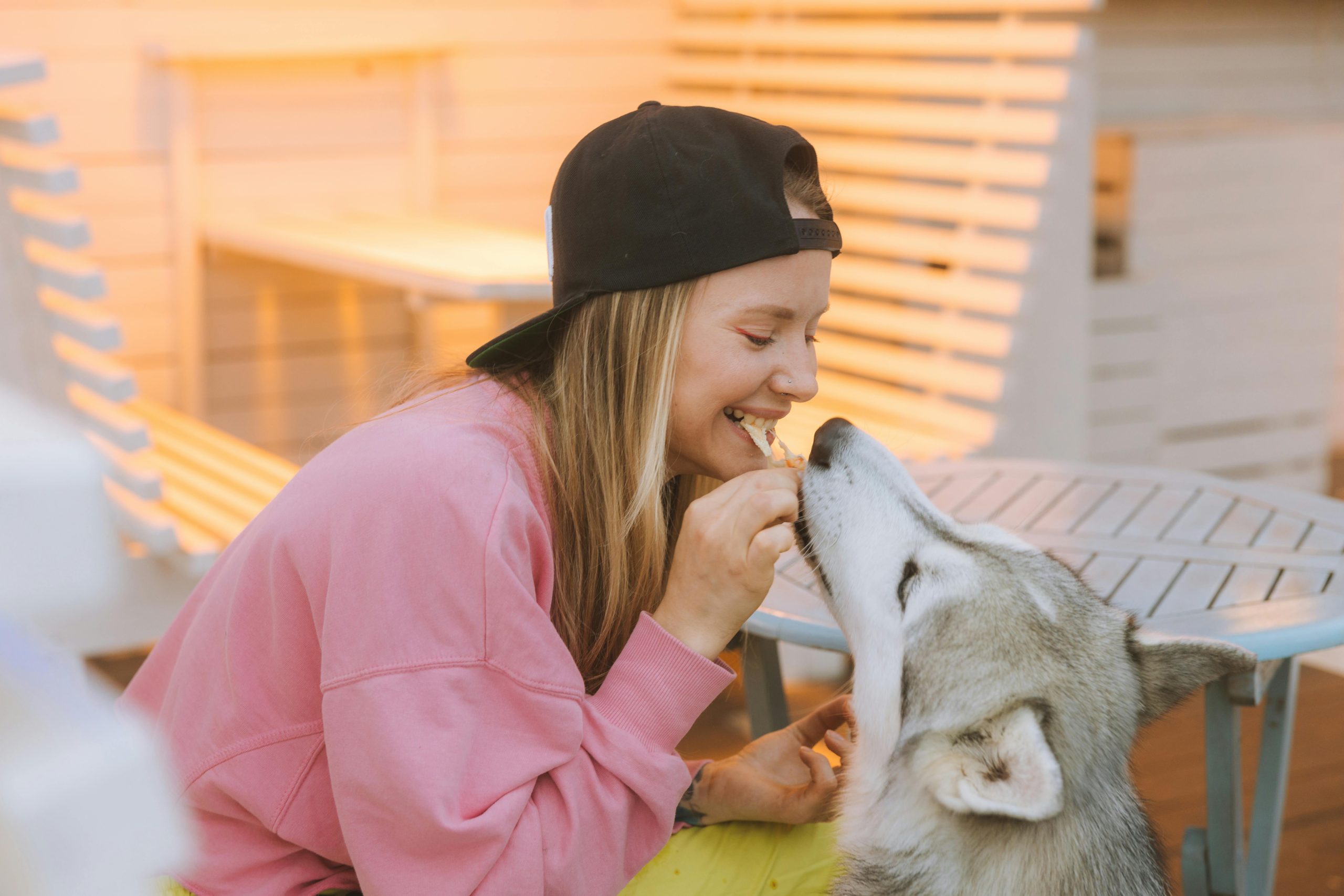 Where to Buy Badlands Ranch Superfood Complete in Canada
